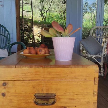 B&B La Casina Di Iris Arezzo Eksteriør billede