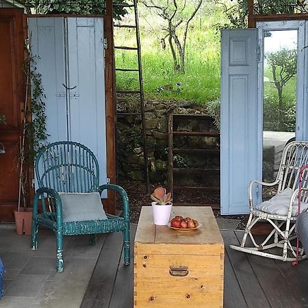 B&B La Casina Di Iris Arezzo Eksteriør billede