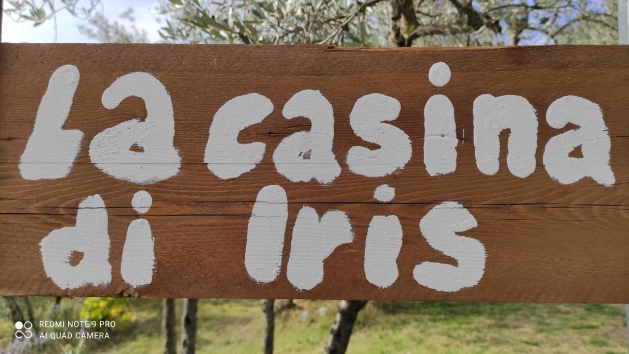 B&B La Casina Di Iris Arezzo Eksteriør billede