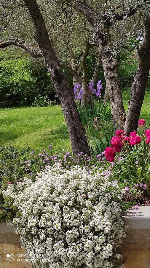 B&B La Casina Di Iris Arezzo Eksteriør billede