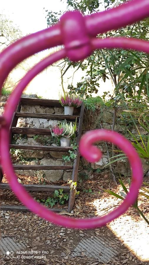 B&B La Casina Di Iris Arezzo Eksteriør billede