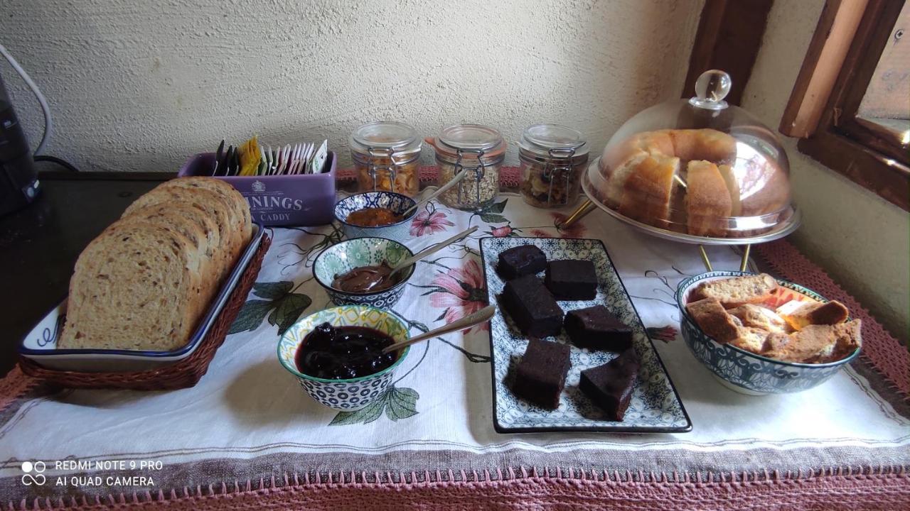 B&B La Casina Di Iris Arezzo Eksteriør billede