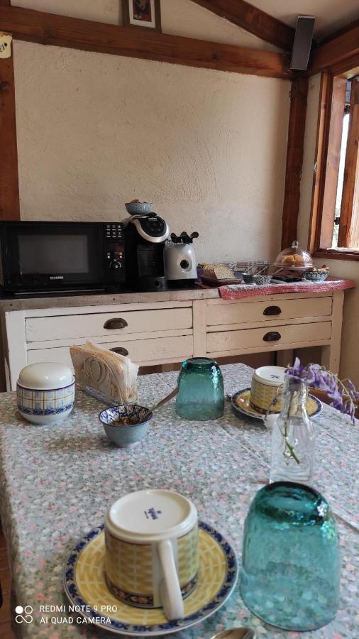 B&B La Casina Di Iris Arezzo Eksteriør billede