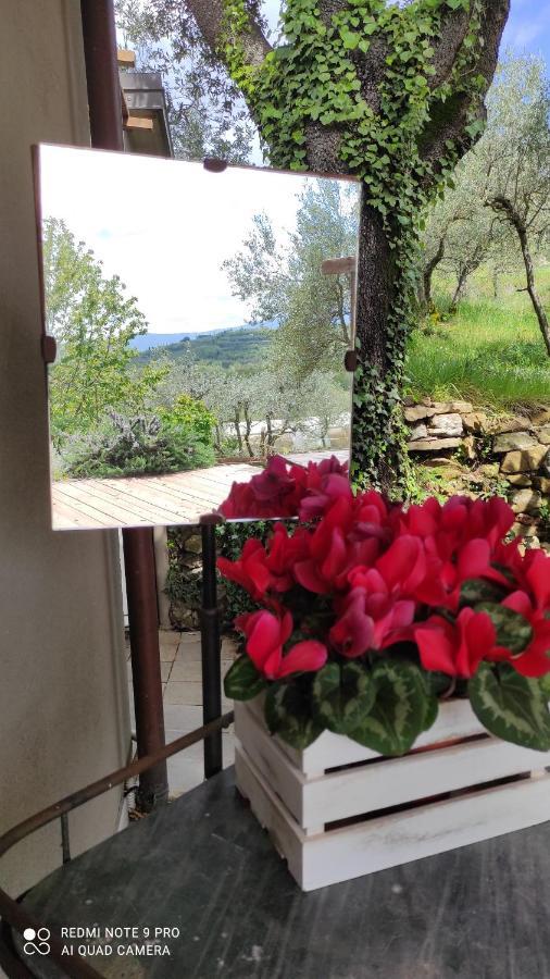 B&B La Casina Di Iris Arezzo Eksteriør billede