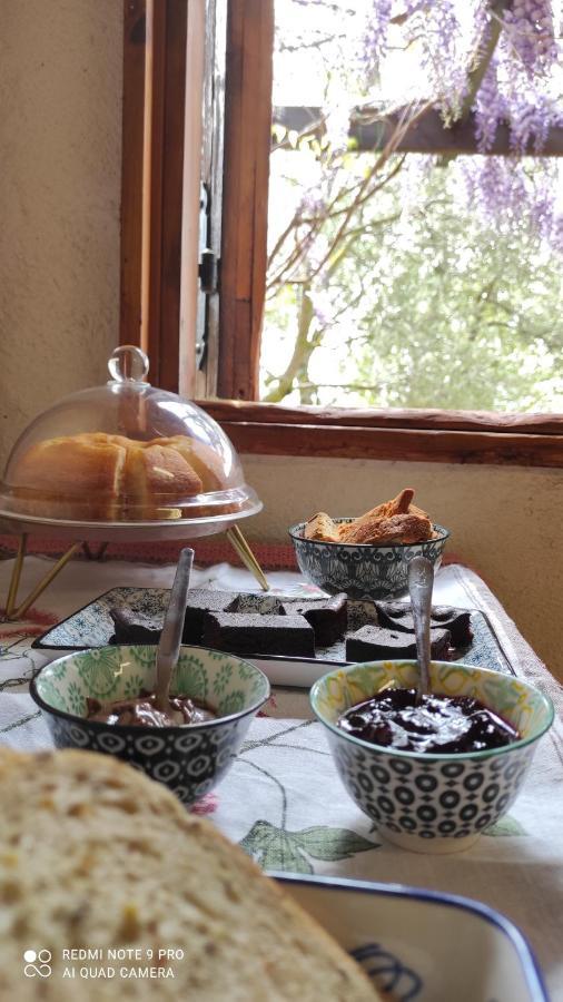 B&B La Casina Di Iris Arezzo Eksteriør billede