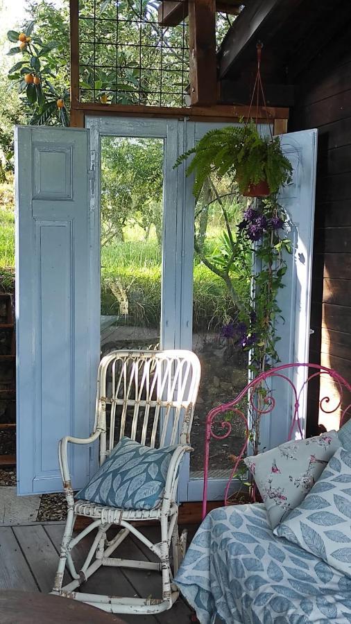 B&B La Casina Di Iris Arezzo Eksteriør billede