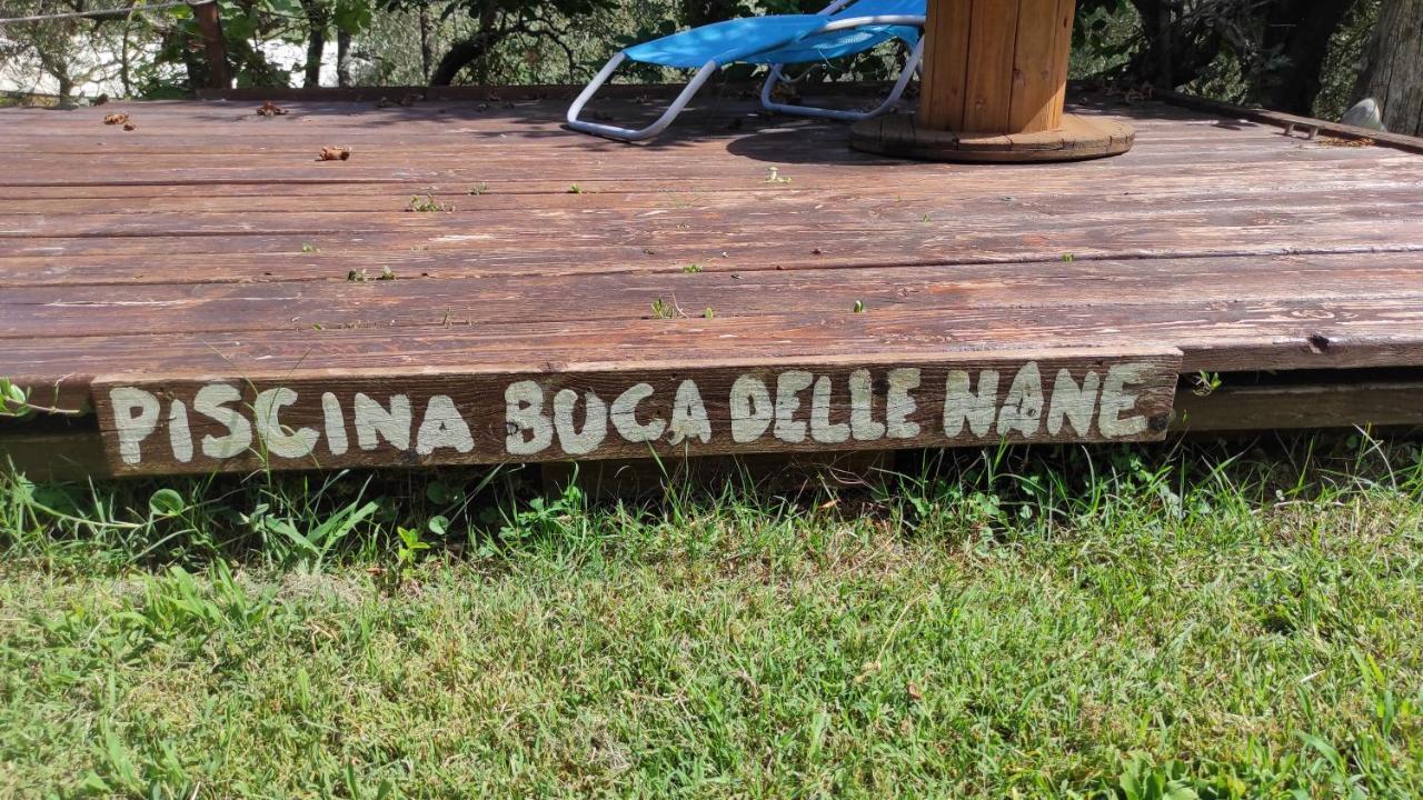 B&B La Casina Di Iris Arezzo Eksteriør billede
