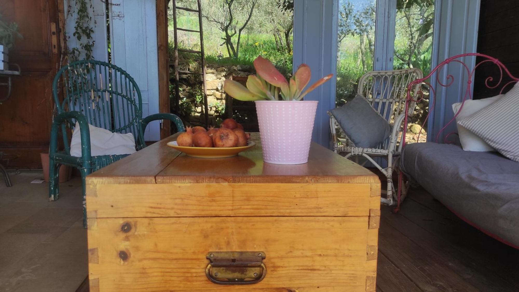 B&B La Casina Di Iris Arezzo Eksteriør billede