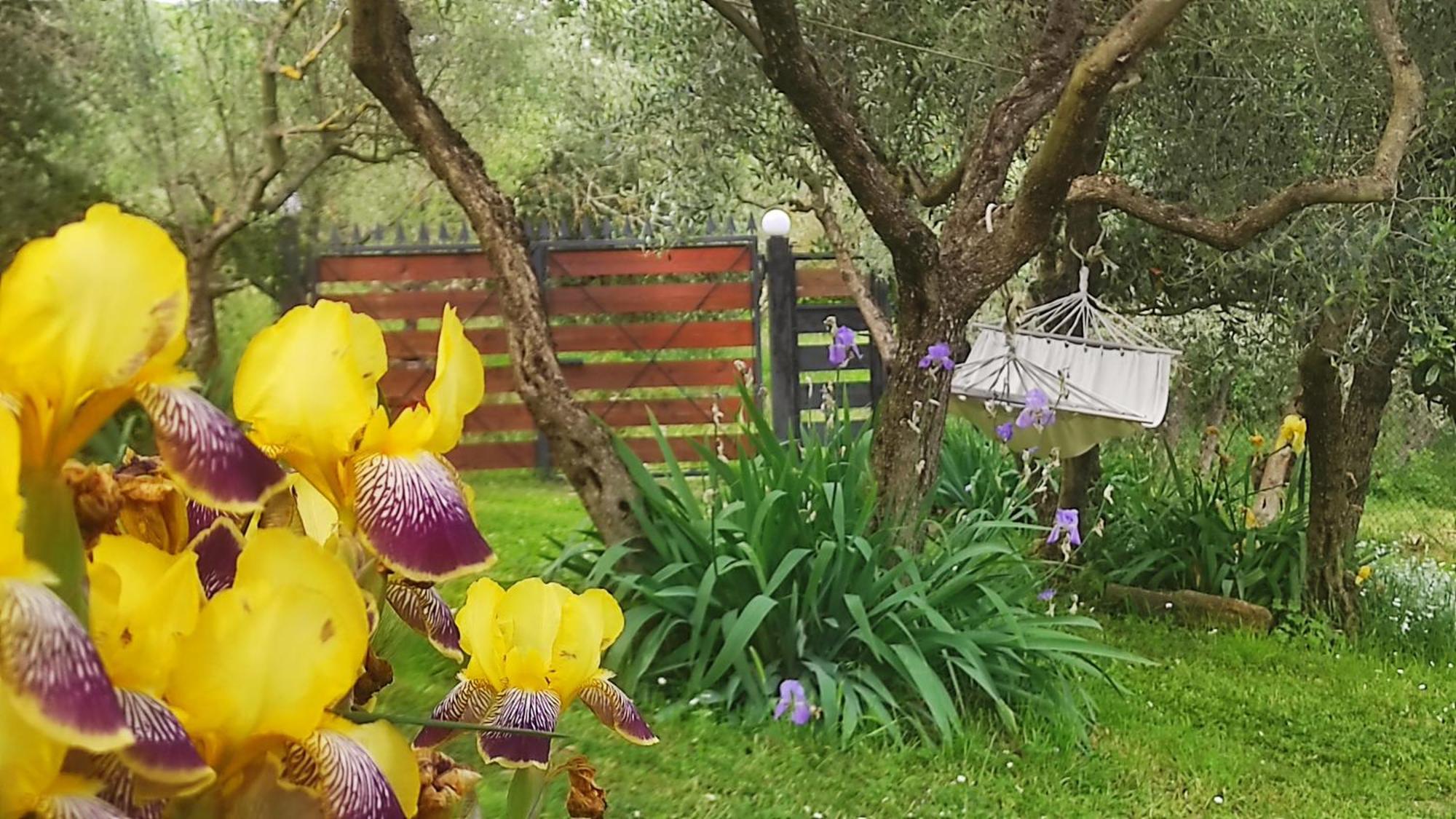 B&B La Casina Di Iris Arezzo Eksteriør billede