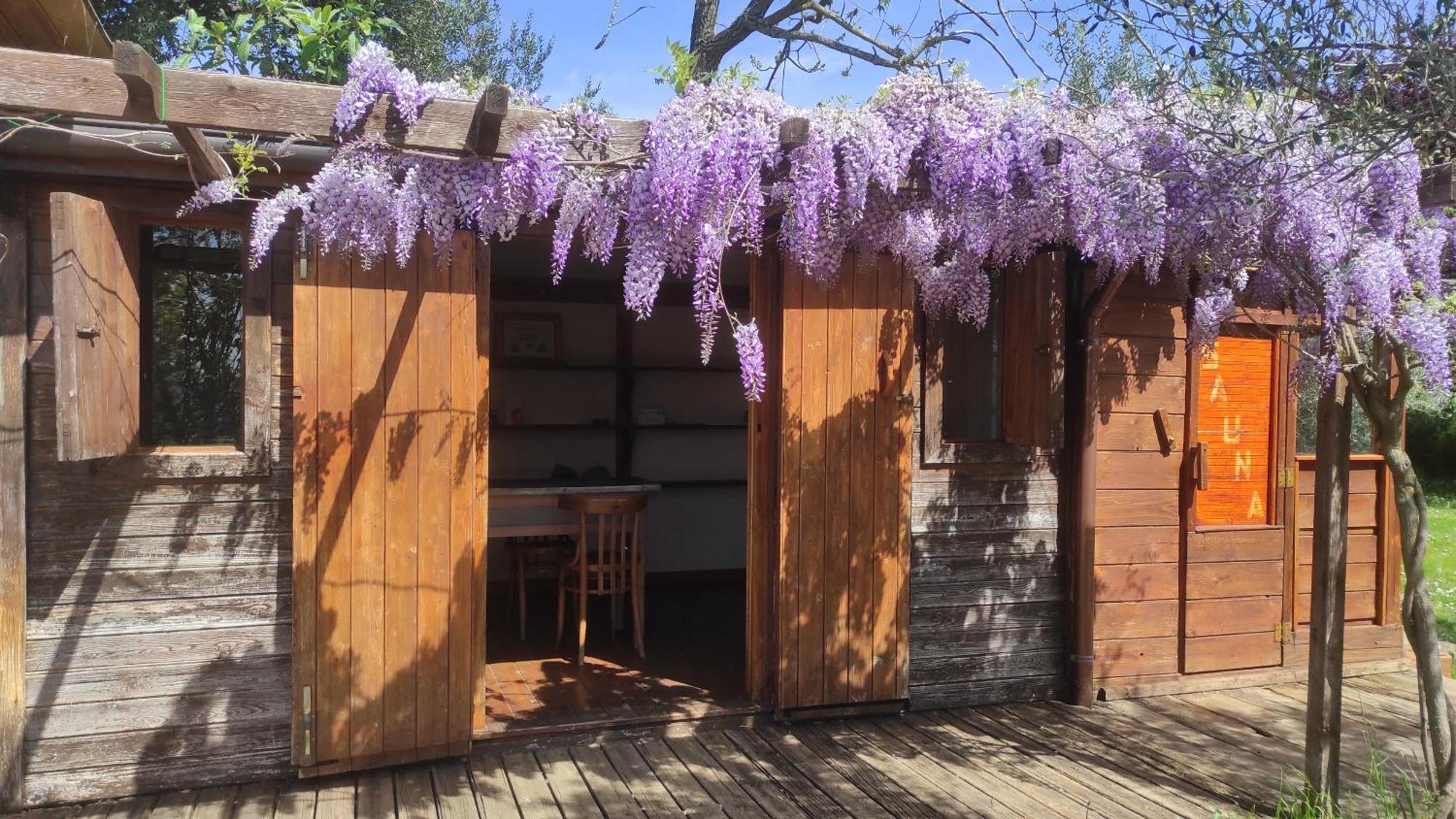 B&B La Casina Di Iris Arezzo Eksteriør billede